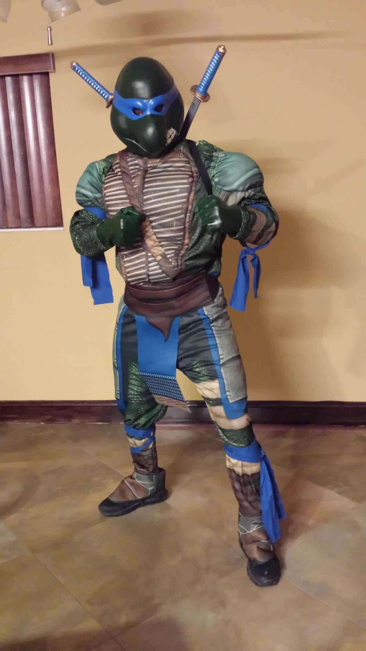 ninja turtles new york knicks